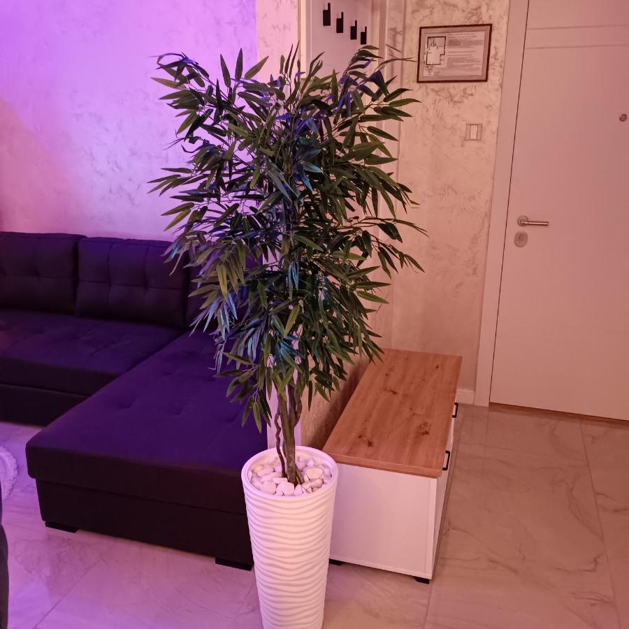 Rb Apartment 3 Lux Smart House Subotica Eksteriør bilde